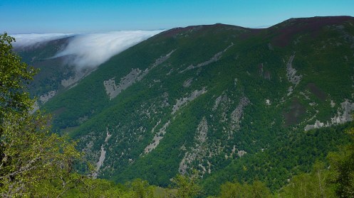 5757306395_f32294b7dc_z