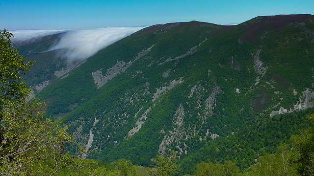 5757306395_f32294b7dc_z