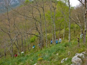 Prácticas de ecología en Caso (Asturias), en la ladera opuesta al Monte Allende. Rodeados de Quercus pyrenaica. 