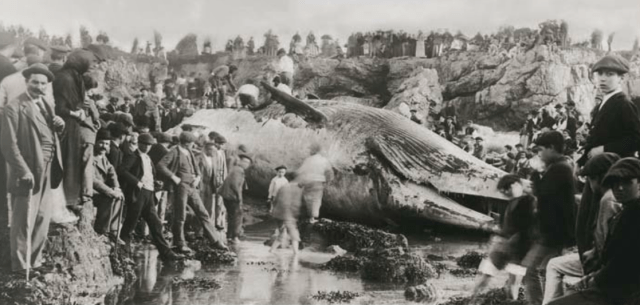 Enlazo al sitio donde encontré esta foto clásica, pero desconozco su autor y derechos de uso. Si alguien considera que no está en el dominio público, agradecería la información.