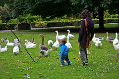 7474530058_829c91fc69_m