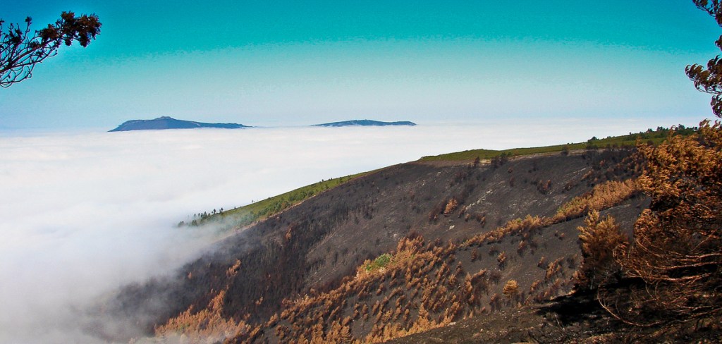 Incendio provocado en el borde nor-occidental de la RI de Muniellos. Junio de 2006. En él perdimos parte del trabajo de aquella temporada.